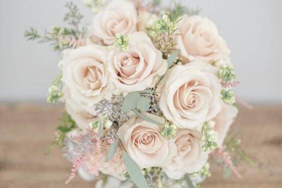 Blush roses