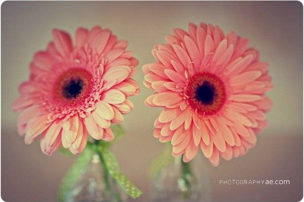 ae photography
