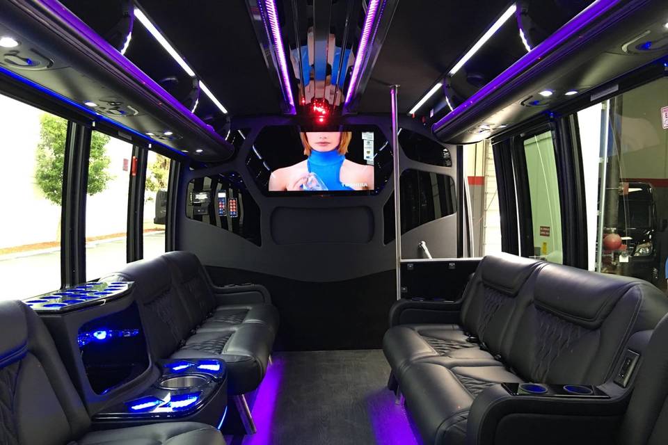 19-passenger luxury limo bus