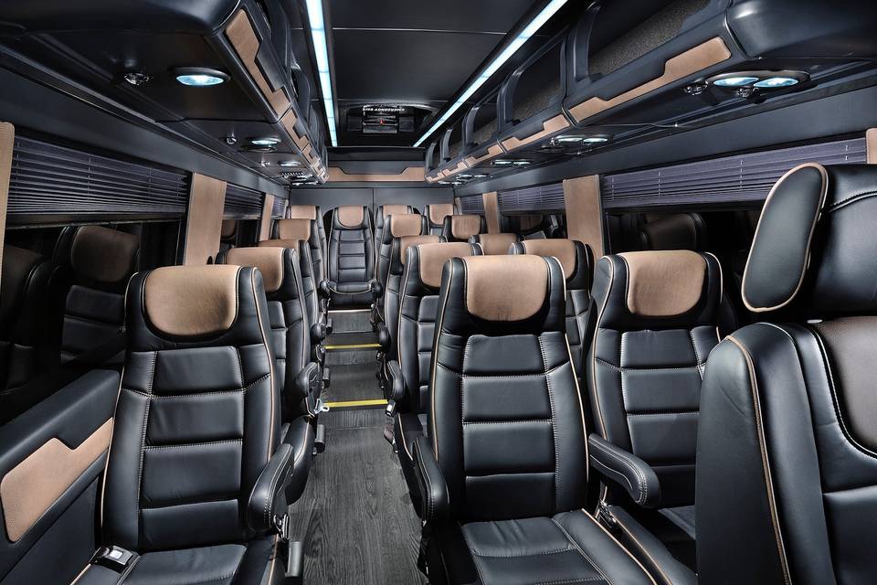 14-passenger Custom Sprinter