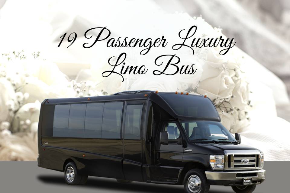 19 Passenger - Luxury Limo Bus