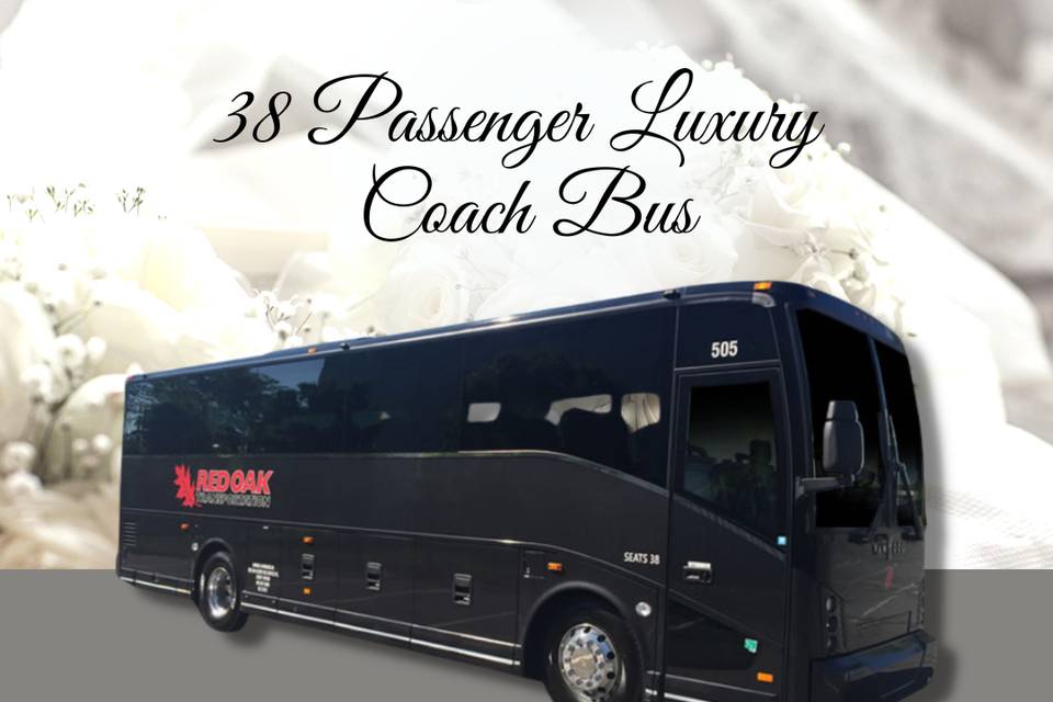 38 Passenger Luxury Coach Bus