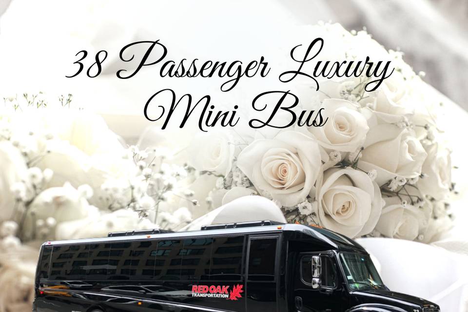 38 Passenger Luxury Coach Bus