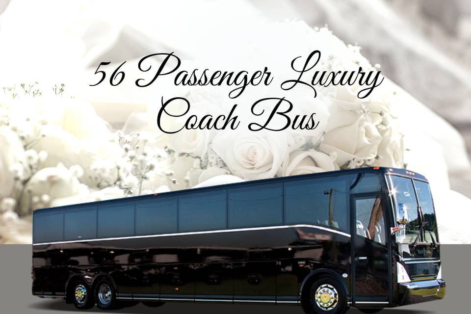 56 passenger- Luxury Coach Bus