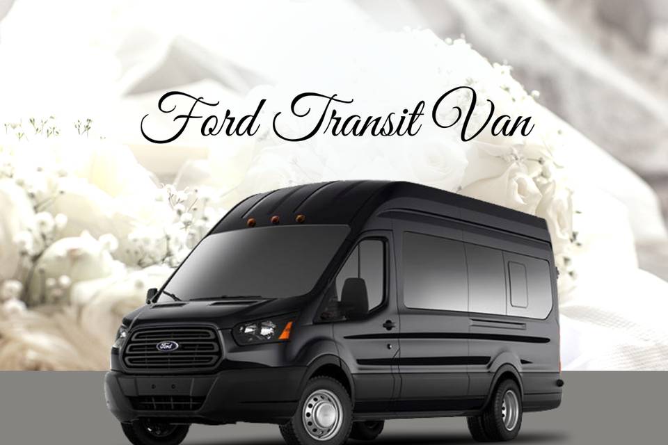 Ford Transit Van