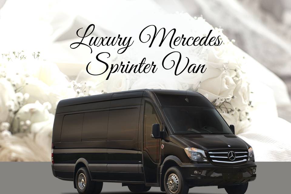 Luxury Mercedes Sprinter Van