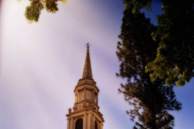 Marcia Campbell Photography