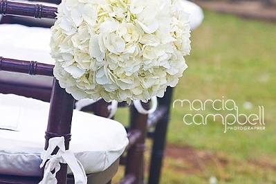 Marcia Campbell Photography