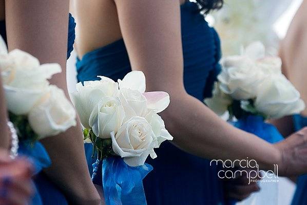 Marcia Campbell Photography