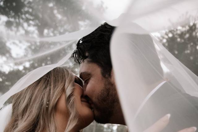 Veil Details