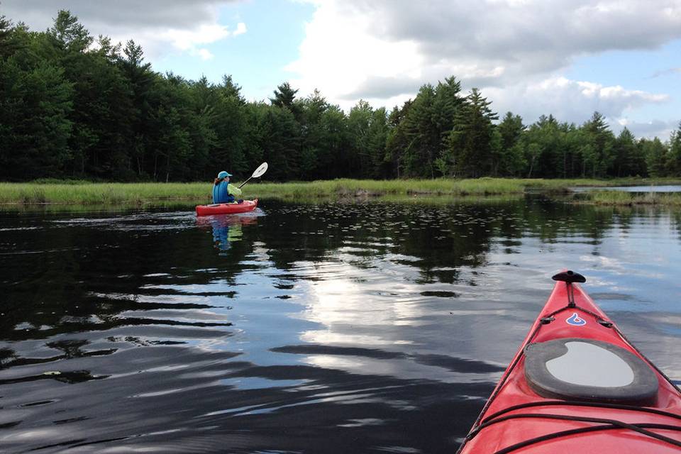 Nearby lakes/rivers.