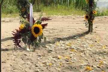 Sunflower arch