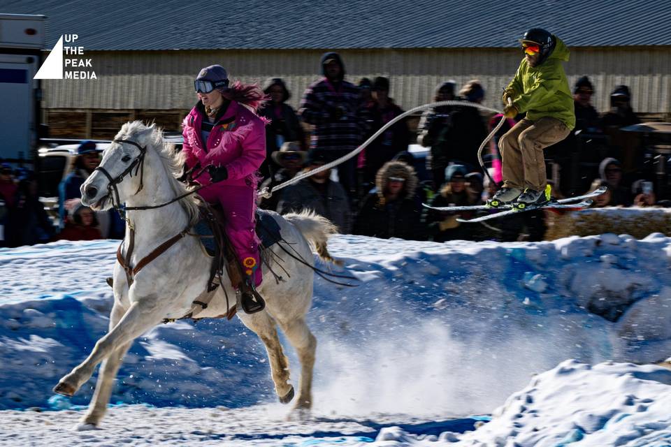 Skiijoring