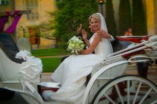 Andrew Brooks Photography, LLC