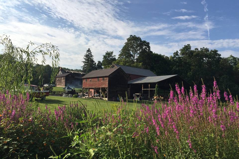 Owls Hoot Barn