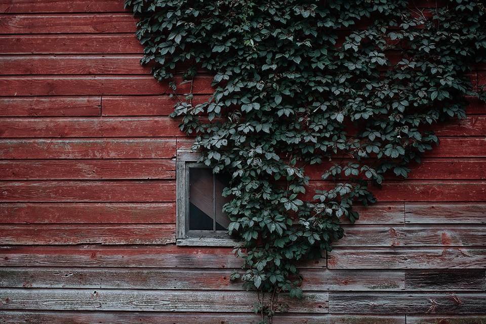 Rustic backdrops