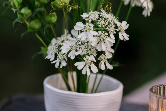 Natural bar arrangement