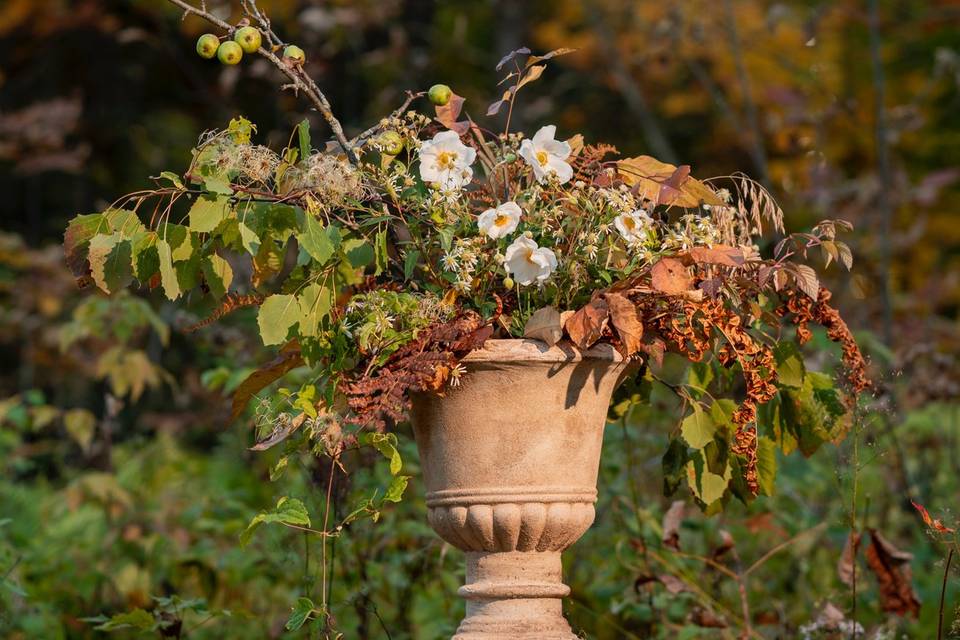 Wildflower corner arbor