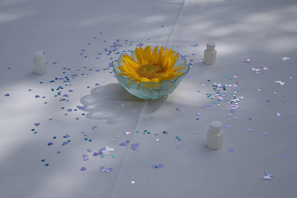 Photography By Esther Snow