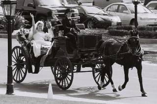 Hackney Horse & Carriage