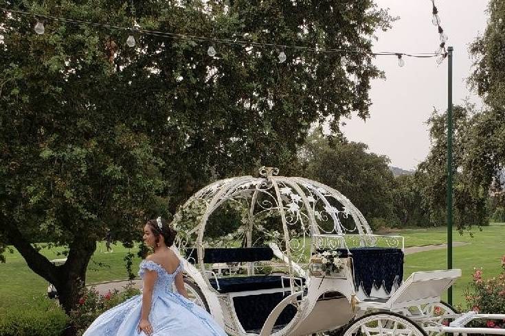 Cinderella carriage