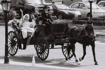 Hackney Horse & Carriage