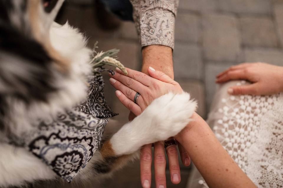 Annie + Joey | Cattle Barn