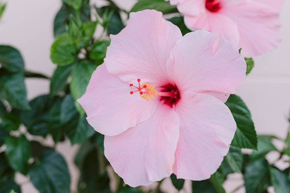 Photographer:@Ashley_izquierdo