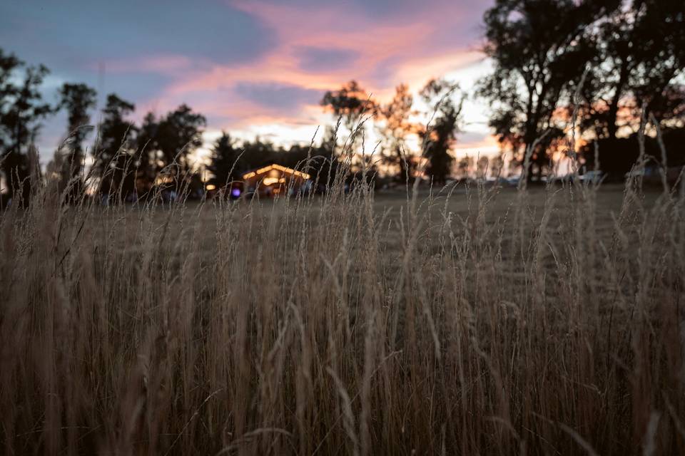 From Across the Meadow