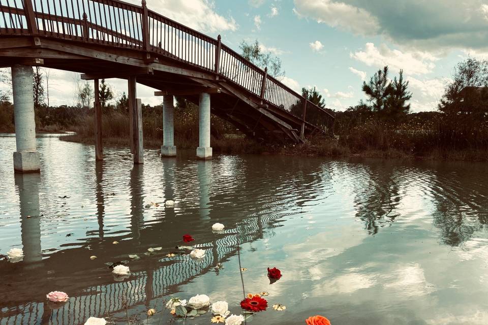 Flowers on the lake