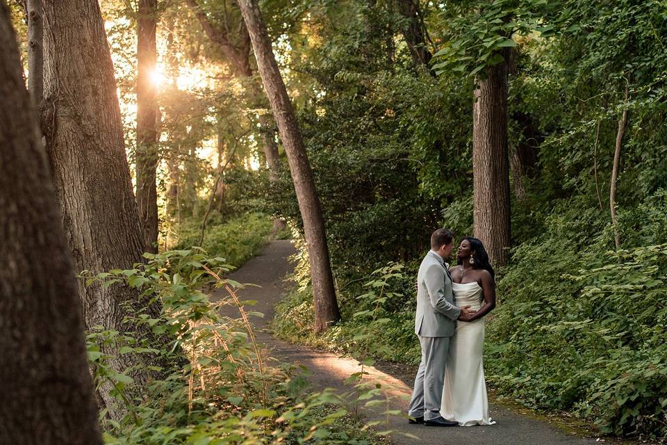 Sunset in the forest