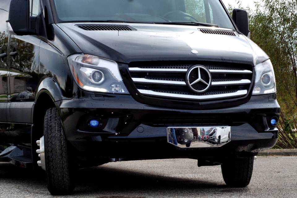 Front bumper of the limousine