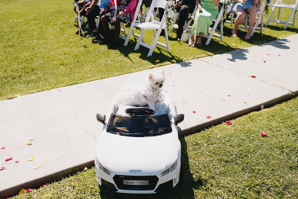 La Mirada Golf Course Wedding