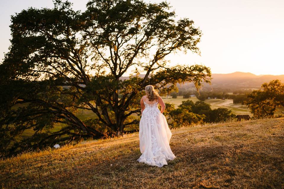 6 Point Farm Wedding Mendocino