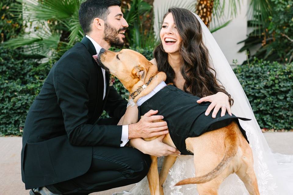 Bride & Groom with Dog