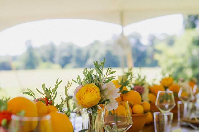 Bud Vases + Oranges Reception