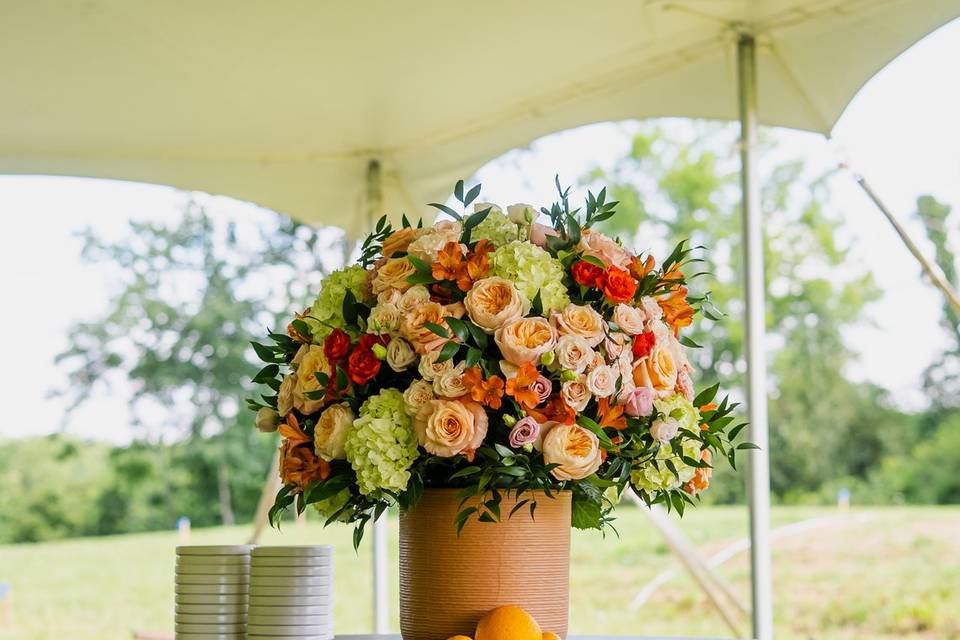 Welcome Arrangement