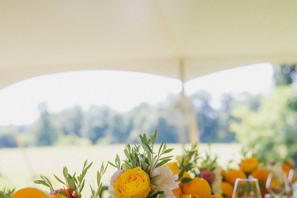 Bud Vases + Oranges Reception