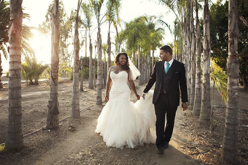 Vertex Weddings