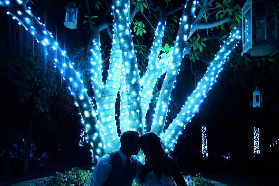 Vertex Weddings