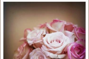 Rose Garden Flowers & Gifts, Inc.