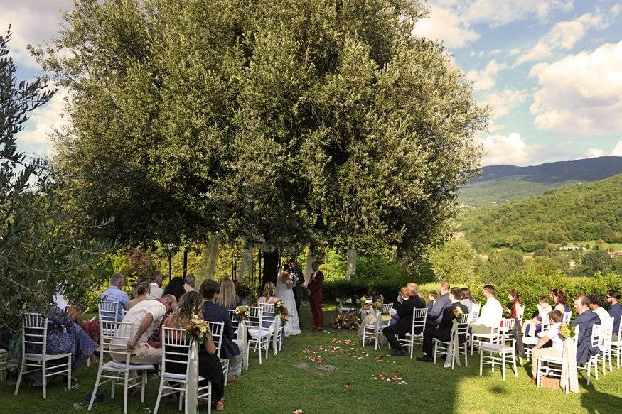 Wedding