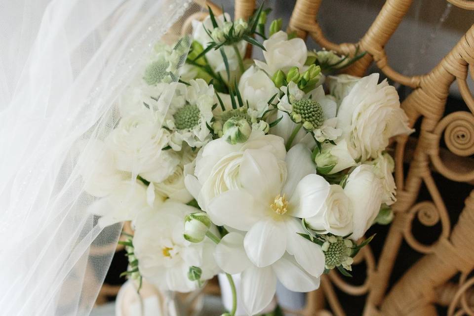 @maggiealvarezphotography