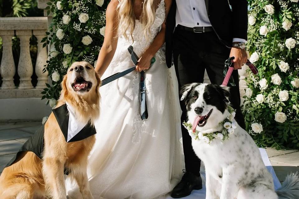 Ceremony Broken Arch