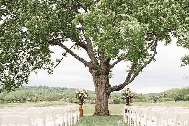 Wedding aisle