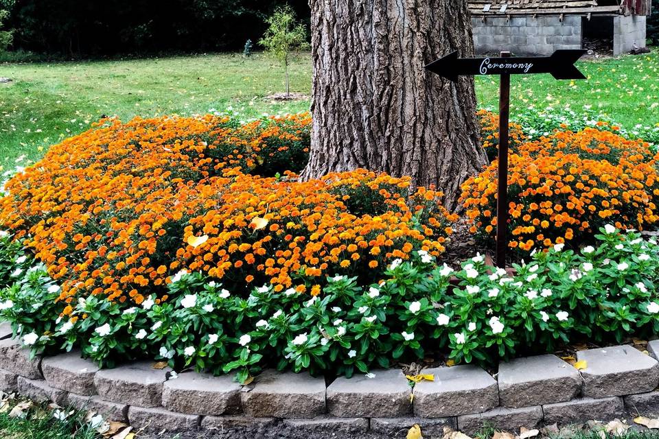 One of many flower beds