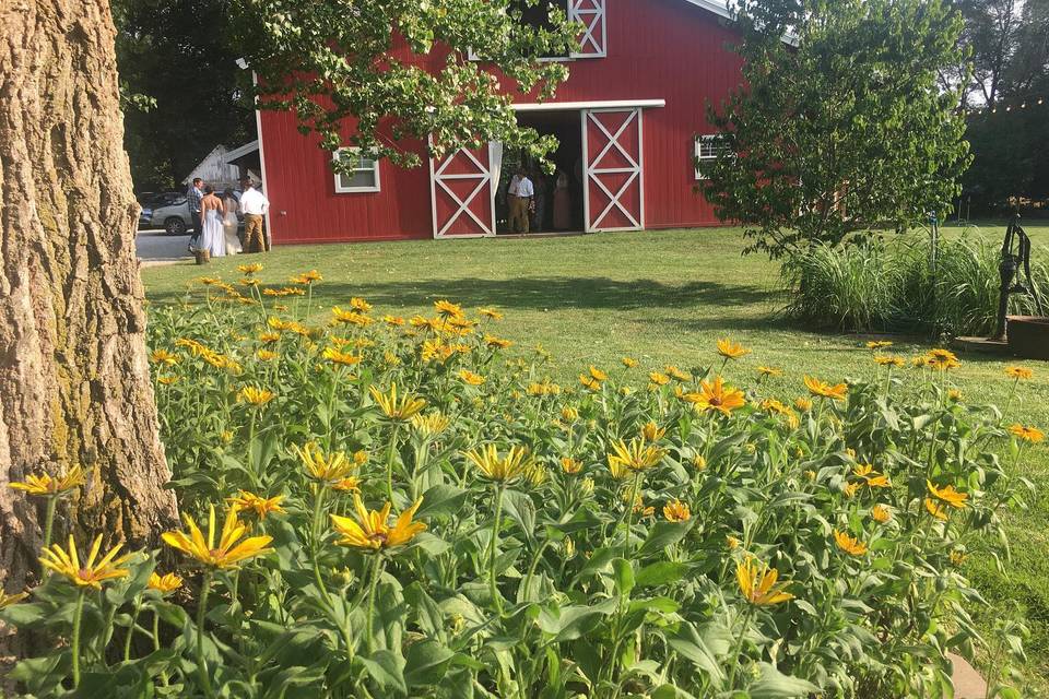 Flowers and barn