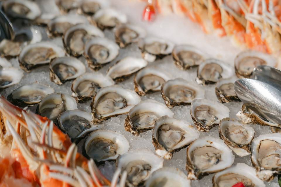 Shellfish