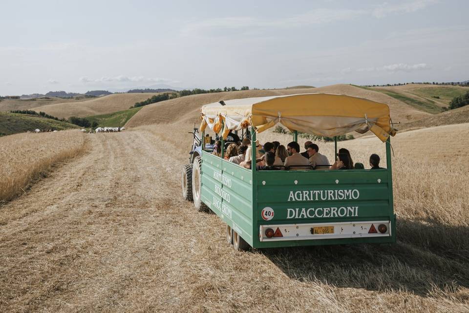 Fancy transport
