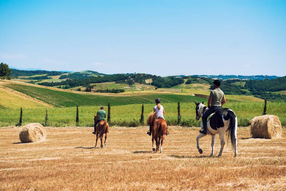 Horse riding